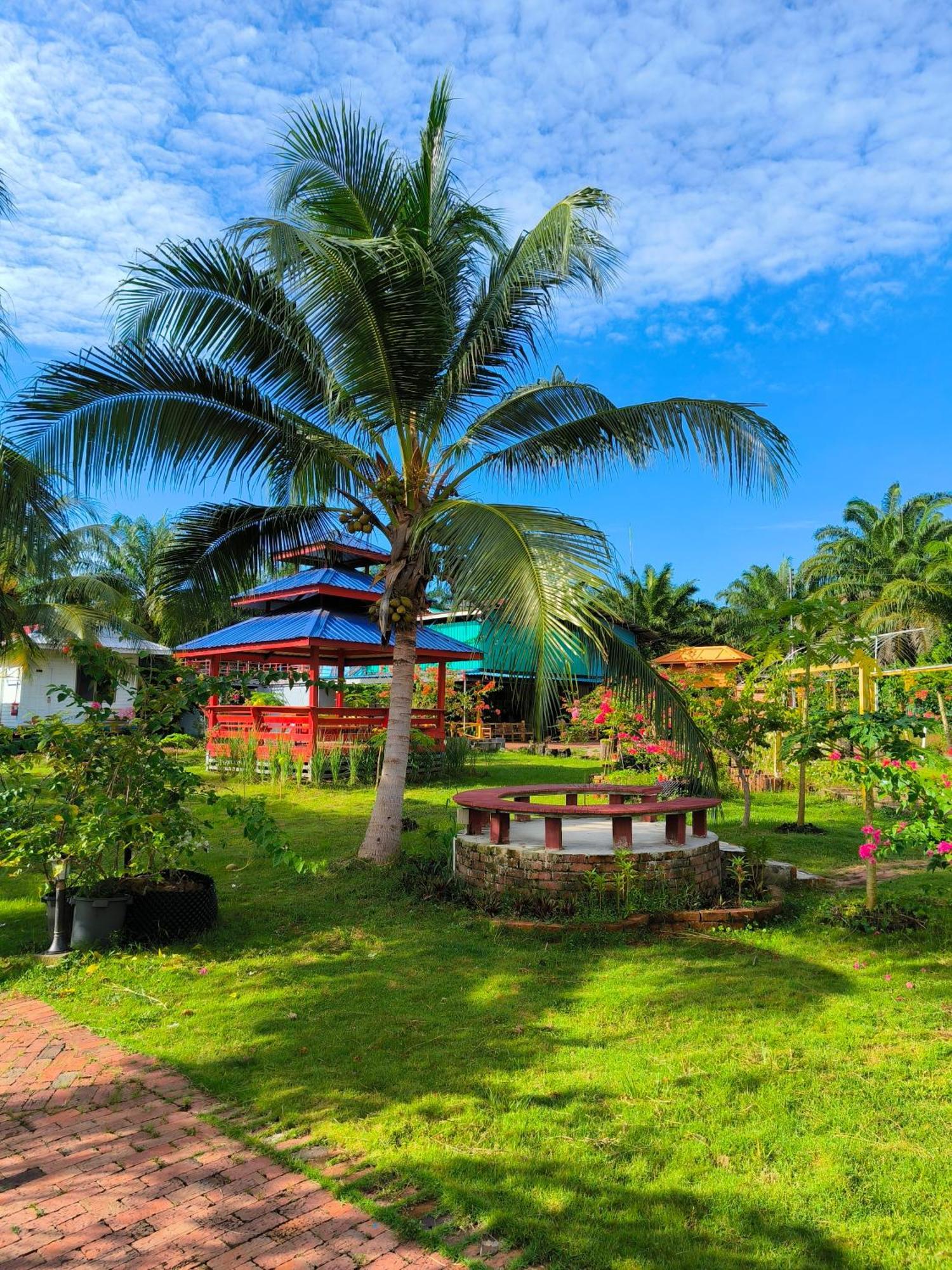 Shunde Palm Resort 仙本那顺德人家棕榈园 Eksteriør billede